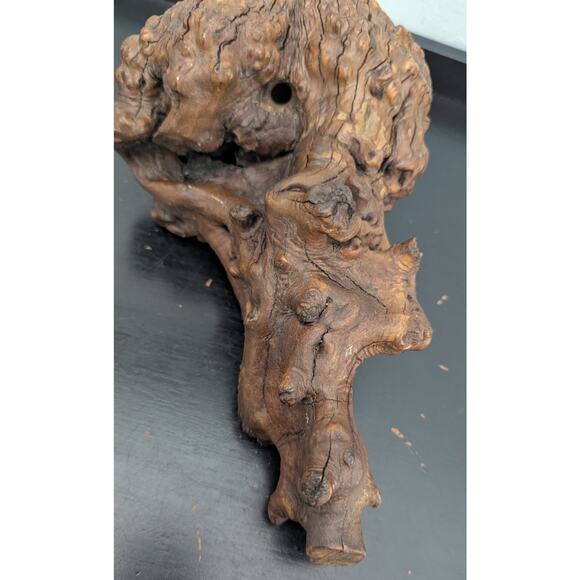 Burl Wood Hardwood From Arizona desert Manzanita Large Pen Sculpture Section - Picture 5 of 8